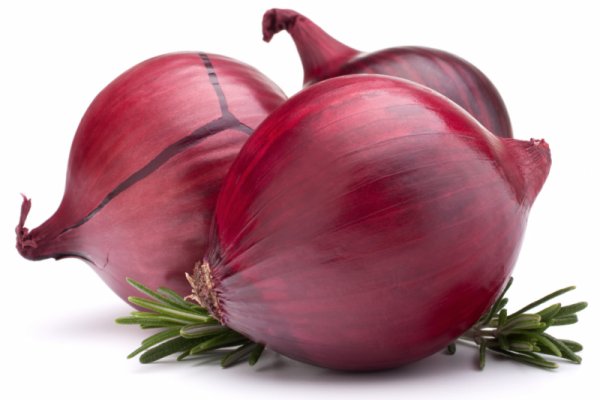 Megaruzxpnew4af onion forum