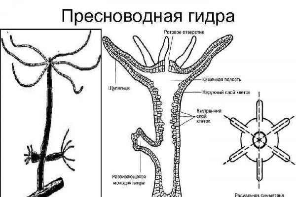 Kraken для россиян