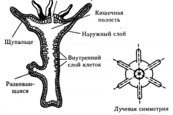 Блэкспрут оф сайт ссылка